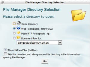 Pilihan File Manager